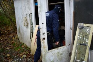 policjant zagląda do wnętrza domku