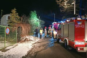 Teren ogródków działkowych. Droga leśna, z prawej strony stoją dwa pojazdy straży pożarnej, a przy nich umundurowani policjanci i strażacy. Z lewej strony w tle budynek