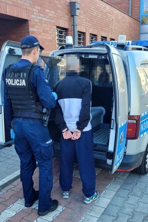 Umundurowany policjant wprowadza do oznakowanego radiowozu mężczyznę, który ma założone kajdanki na ręce trzymane z tyłu.